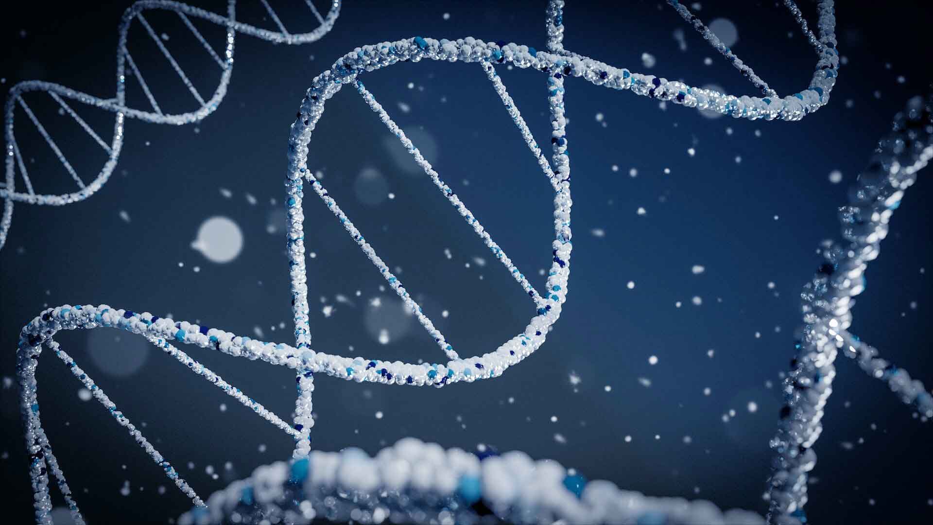 genes